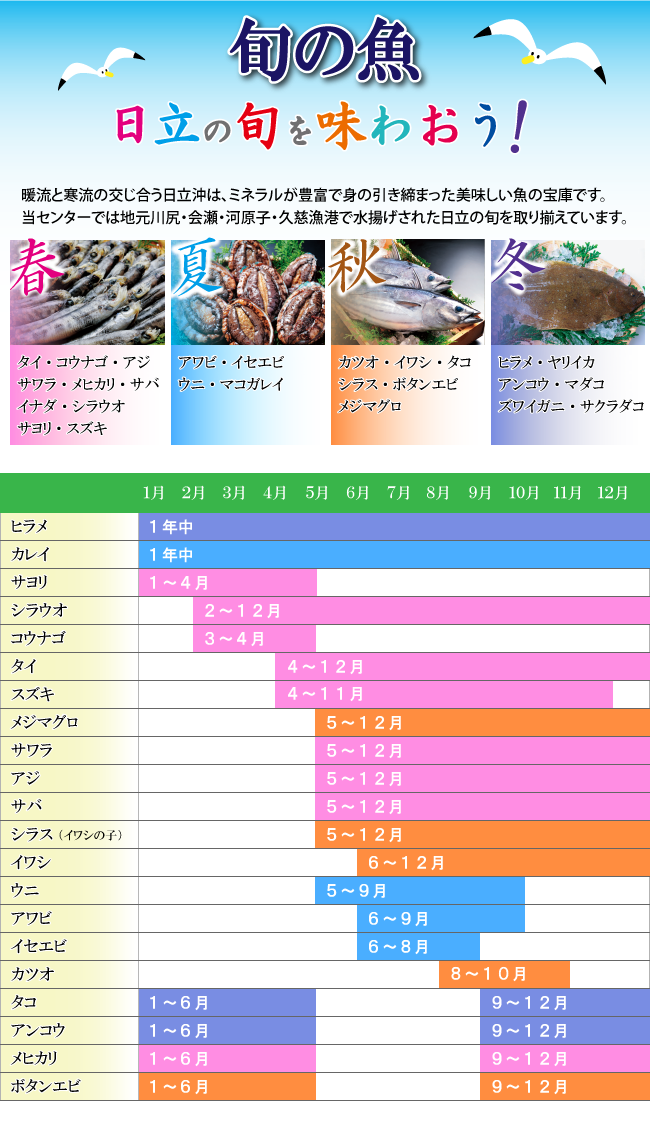 旬の魚　カレンダー